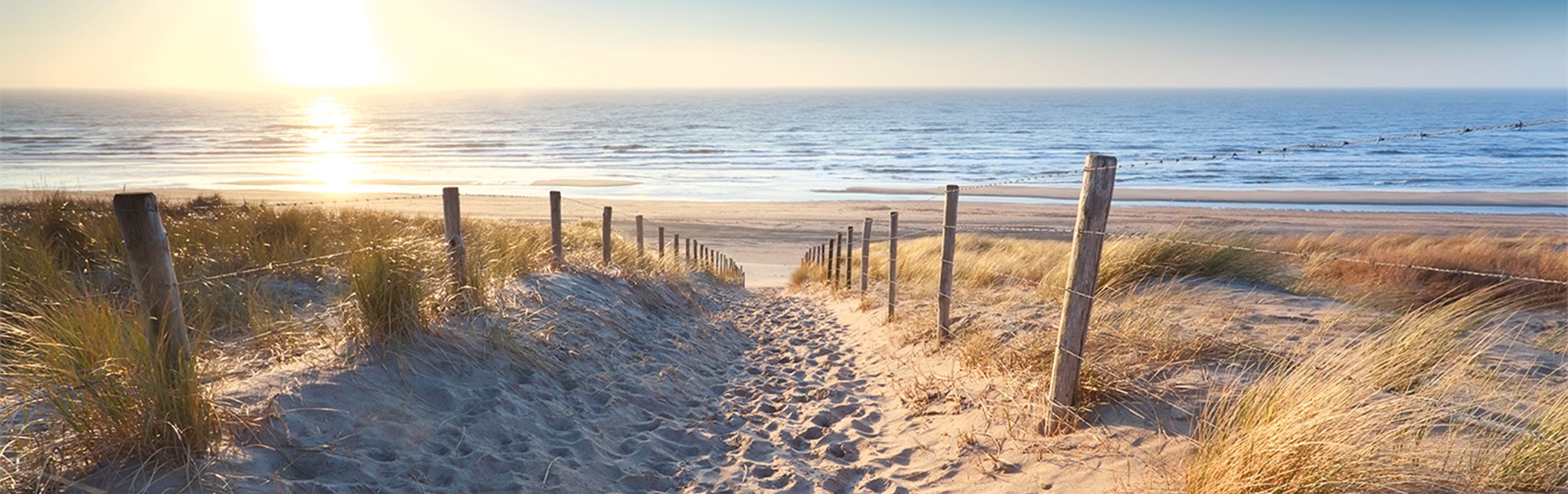 shutterstock_180884936_Header shutterstock_180884936_Header